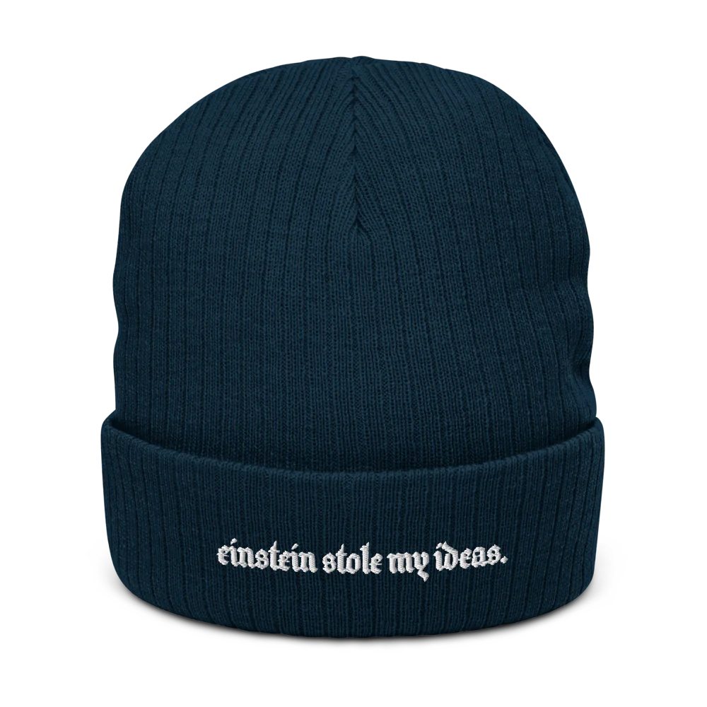 EINSTEIN STOLE MY IDEAS.