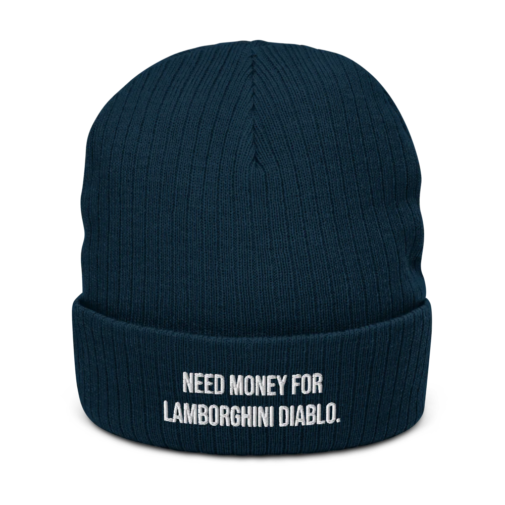 NEED MONEY FOR LAMBORGHINI DIABLO.