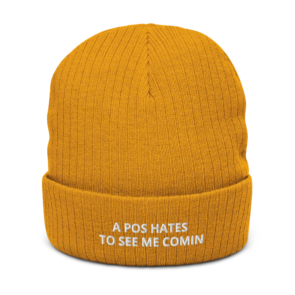 A POS HATES TO SEE ME COMIN