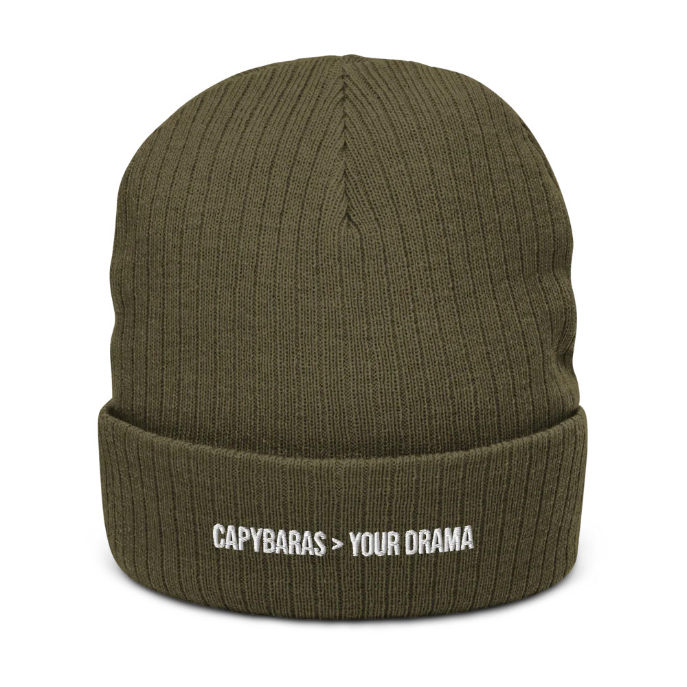 CAPYBARAS > YOUR DRAMA