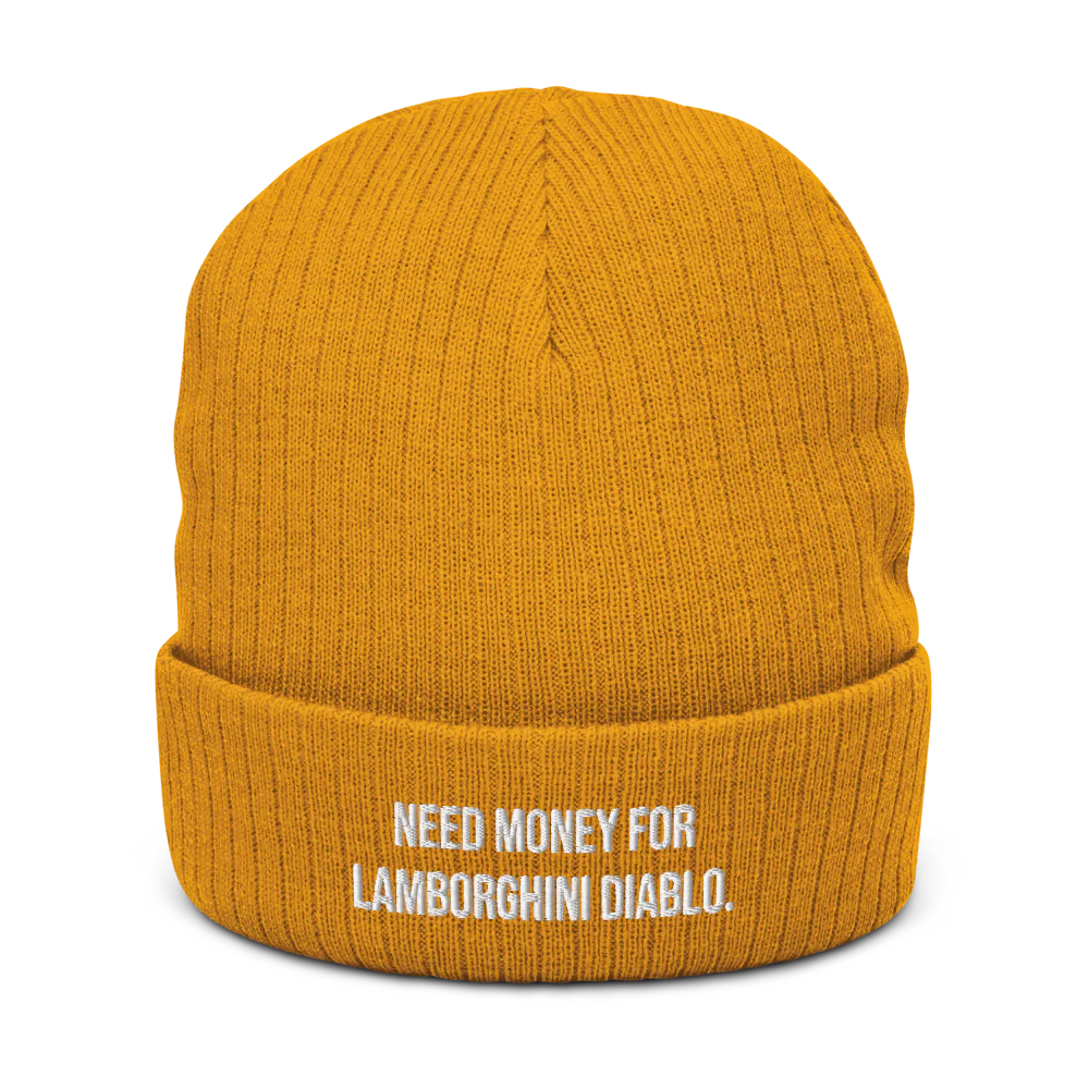 NEED MONEY FOR LAMBORGHINI DIABLO.